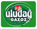 ULUDAĞ